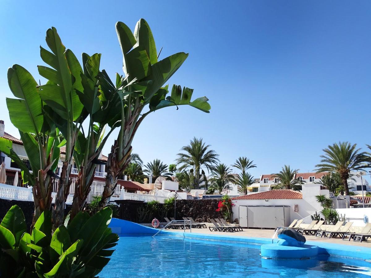 Las Americas Luxury Low-Cost Apartment With Terrace & Views Playa de las Américas Dış mekan fotoğraf